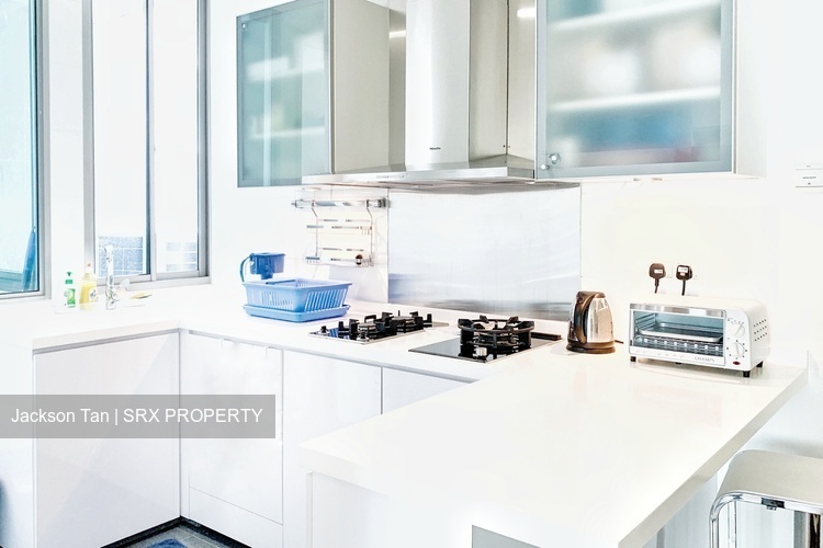 Cairnhill Crest (D9), Condominium #236827071